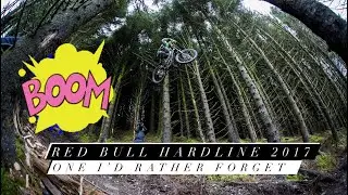The Most expensive crash of my life... Red Bull Hardline 2017 GoPro Footage - Qualifying & Race