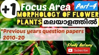 PREVIOUS YEARS QUESTION PAPERS MORPHOLOGY OF FLOWERING PLANTS FOCUS AREA PART-4 STUDY BOTANY BIOLOGY