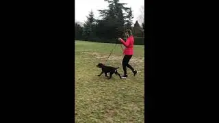 KATE MAXI ROTT