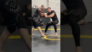 Вольник против черного пояса по Бразильскому джиу-джитсу. 18 октября 2024 г. #bjj #nogi #mma #БЖЖ
