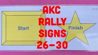 Знаки новичков AKC Rally 26-30: объяснение и демонстрация