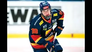 Alexander Holtz Highlights 2020
