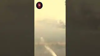 Мужчина напал на полицейских средь бела дня и понес наказание.