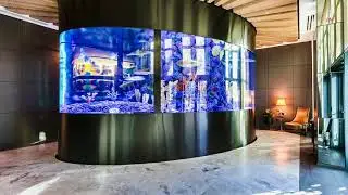 Echo Brickell Unit 1106 | Miami, FL