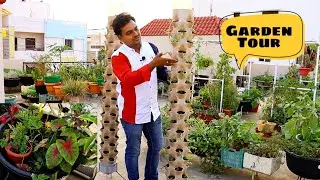 (English) My terrace garden tour Part 1 #gardening #OrgGardener #Terrace
