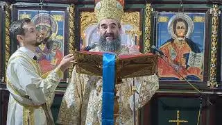 Митрополит нишки Арсеније - Недеља 22. по Педесетници