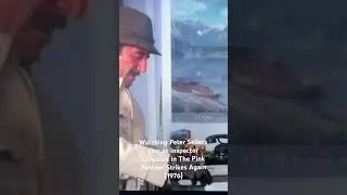 One of the funniest movie scenes of all time from the Pink Panther movie series.