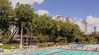 Transmissão ao vivo de Saltos Brasil