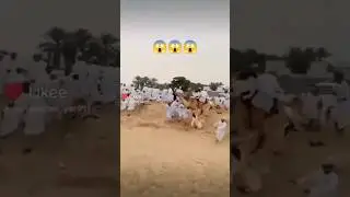 #camel race#funny #youtubeshorts #challenge #dangerous #Saudi Arab