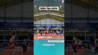 Spike Tiga Meter Bjelica