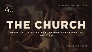 Week 39 | Finding Rest In God’s Providence