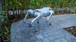 Unitree Go2 Robot Dog EXPOSED! Shocking Truth About This AI Quadruped