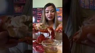 T&ocirc;m H&ugrave;m Rẻ B&egrave;o Ở Boston, Mỹ 🇺🇸 #cuocsongmy  #lobster #seafood  #BoiledSeaFood  #freshfood