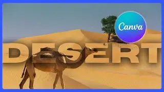 Как создать эффект прозрачного текста в Canva &mdash; простой урок