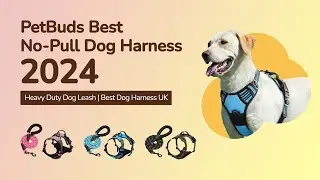 PetBuds Best No Pull Dog Harness 2024  Heavy Duty Dog Leash  Best Dog Harness UK