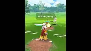 Hoenn Starters (All SHINY) in Ultra League Premier Classic | Pok&eacute;mon Go Battle League