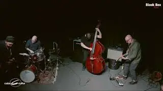 Triboelectric. Pacho Davila, Bj&ouml;rn L&uuml;cker, John Hughes, Jeff Platz.