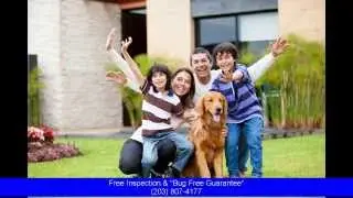 Exterminator Wilton Ct: Fast, Reliable & Low Cost Exterminators in Wilton Ct