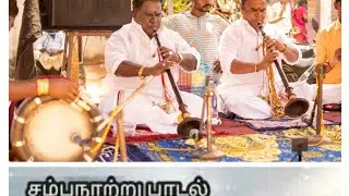 சம்ப நாத்து பாடலை மிகவும் அருமையாக வாசித்த நாதஸ்வர மேதை பாட்டுக்கு சக்கரவர்த்தி Tse.பாபு Tsa.குமார்