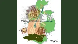 Internal Experiences