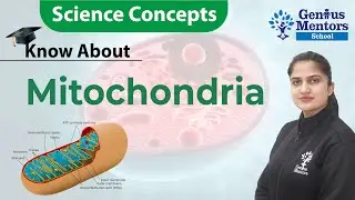Mitochondria - Powerhouse of the Cell | Biology | Science Concept | Genius Mentors School #science