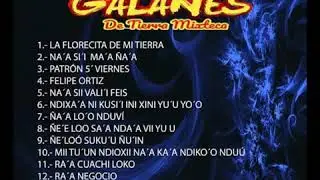 Los galanes de tierra mixteca Vol. 1 Na ve'e kun saa inin na xinin nan yu