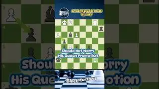 #376 Should Not Worry Queen Promotion #chess #catur #shorts #short #study #fyp #games #gaming #tips