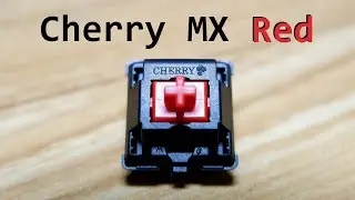 Обзор переключателя Cherry MX Red