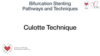 Culotte