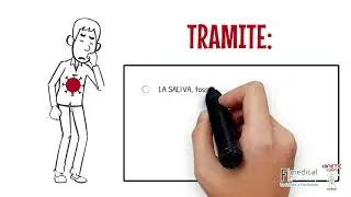 Cos'è Il coronavirus?