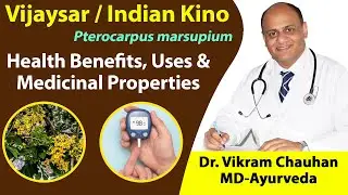 Vijaysar / Indian Kino - Health Benefits, Uses & Medicinal Properties of Pterocarpus marsupium