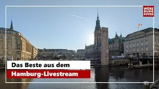 Das Beste aus meinem HAMBURG-Livestream vom 18.01.2026