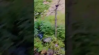 #janvi #taobut #kashmir #bikertrip #biker #bikelover