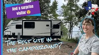 Camping in East Texas&hellip; and a surprise visitor