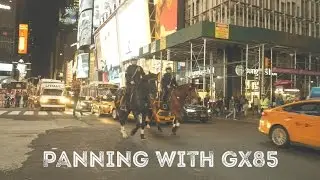 GX85 Panning samples.