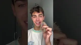 ANIMAL PREGNANCY TEST! ❤️ are my tenrecs pregnant again?! 🦔  #kylethomas #shorts