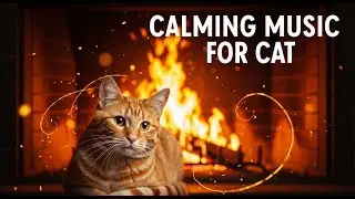 12 Hours of Soothing Cat Music 😽 : Natural Anxiety Relief, Deep Sleep Aid, & Insomnia Healing 😻