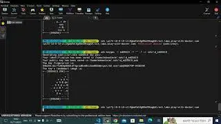 connect to a docker playground with mobaxterm