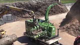 PEZZOLATO PTH 900 - Cippatore a tamburo/Drum chipper powered by SCANIA DC09 371Hp autonomous engine