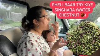 PHELI BAAR KIYA SINGHARA TRY || JOB SE ITNI LAMBI LEAVE? || ANSWERED FEW QUESTIONS? || ROHINIDILAIK