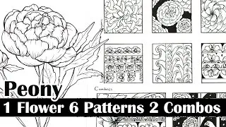 1 Flower 6 Patterns 2 Combinations || Zentangle Art Tutorial || Peony Flower