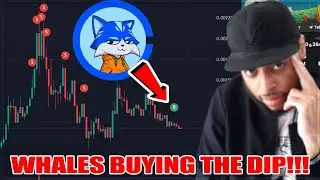 $Toshi on Base OG Millionaire Invests $22,146 TODAY! Coinbase Memecoin 100X Is Coming!!!