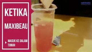 DEMO PRODUK MAXIBEAU MAXIMAX PALANGKARAYA
