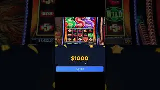 The Psychology of Gambling