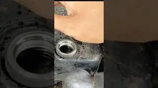 Apa ini Ciri-Ciri Panther Ngobos?