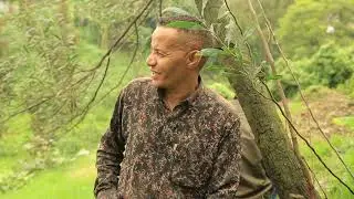 የጀርባ ቀን