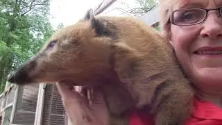 SMALL TOWNS ZOO
