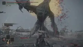 ELDEN RING - Spiked Caestus Vs Random Dragon