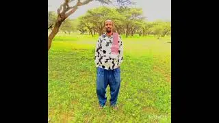 Gabaygan waxaa tiriyay Cismaan Axmed daad waxaanuu u tiriyay dagaalka falastiin