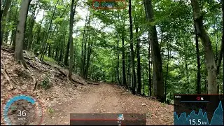 45 Minutes MTB Trail Workout 🚵&zwj;♀️ Garmin Speed Display Ultra HD